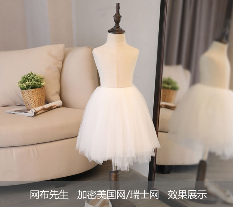 加密美国网
