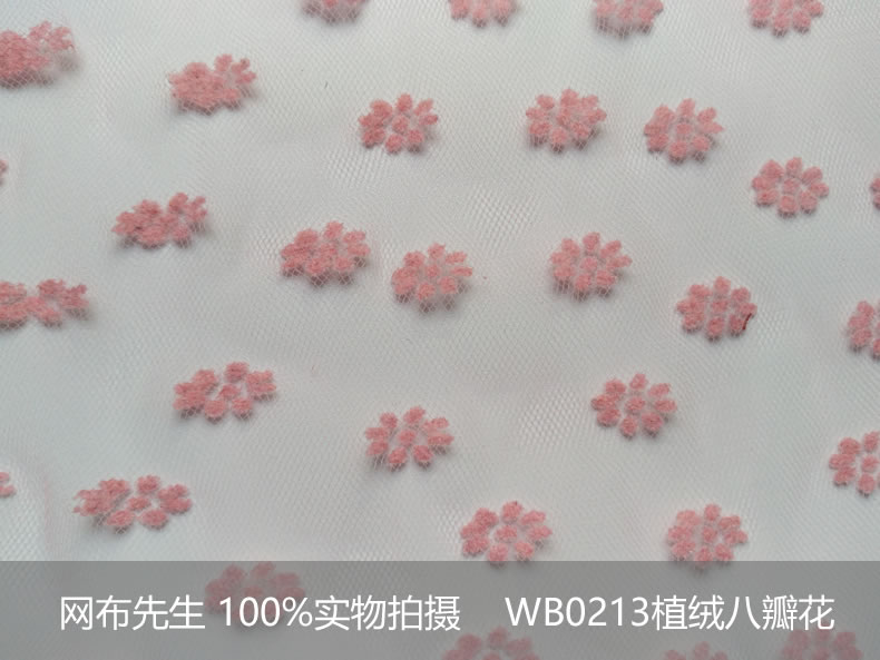加美植绒八瓣花