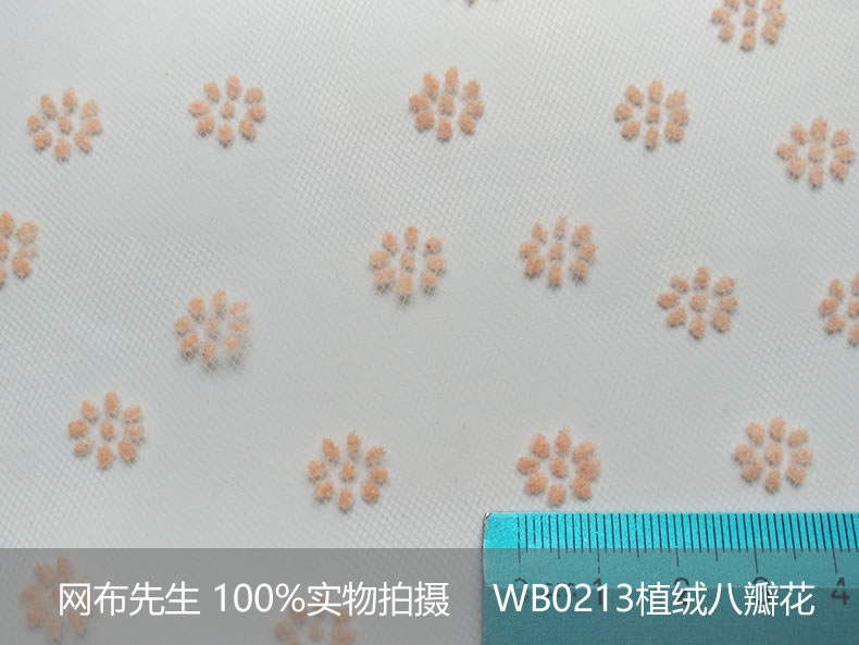 加美植绒八瓣花